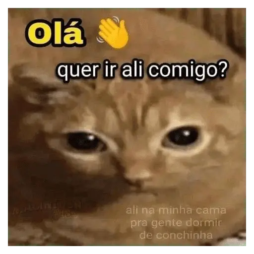Vamos de sapecagens