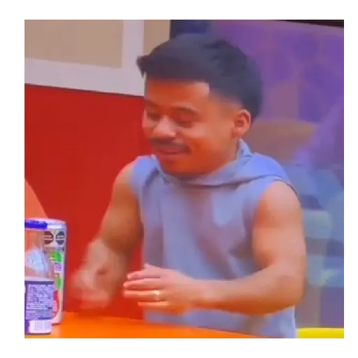 Abelito/La casa de los famosos preview