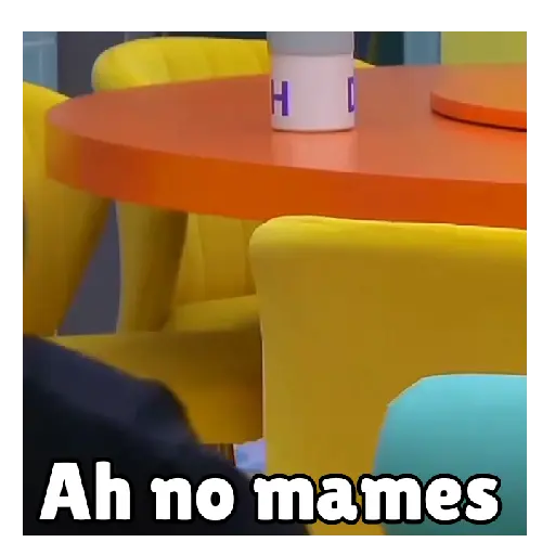 Abelito/La casa de los famosos preview