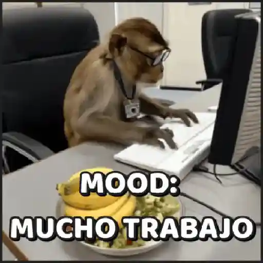 🙈•MONOS•🐒