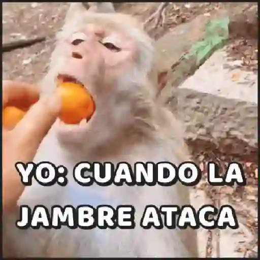 🙈•MONOS•🐒