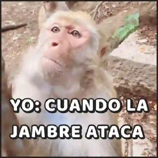 🙈•MONOS•🐒 preview