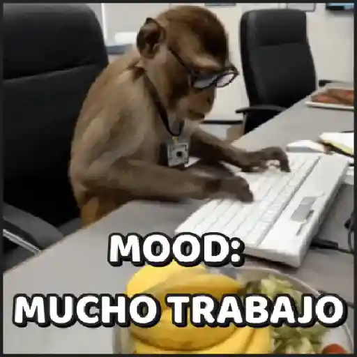 🙈•MONOS•🐒 preview