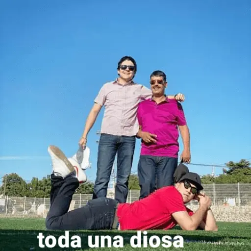 los toys