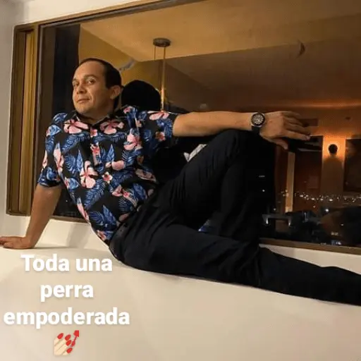 los toys