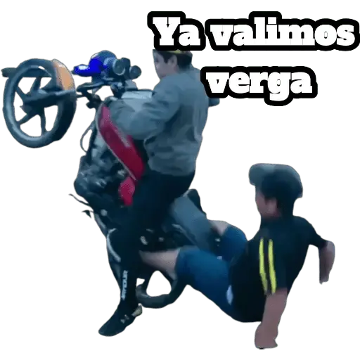 los toys