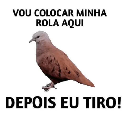 safadezas e sapecagens 🤣🔥