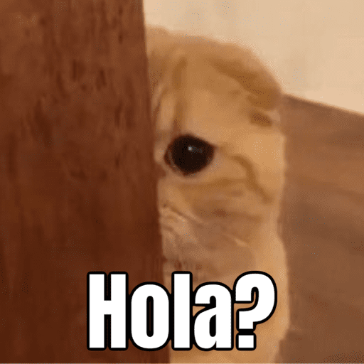 Memes - gatos bebes 🐱💕😂 preview