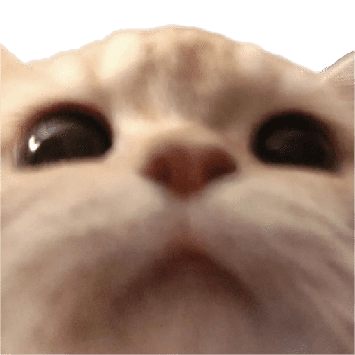 Memes - gatos bebes 🐱💕😂 preview