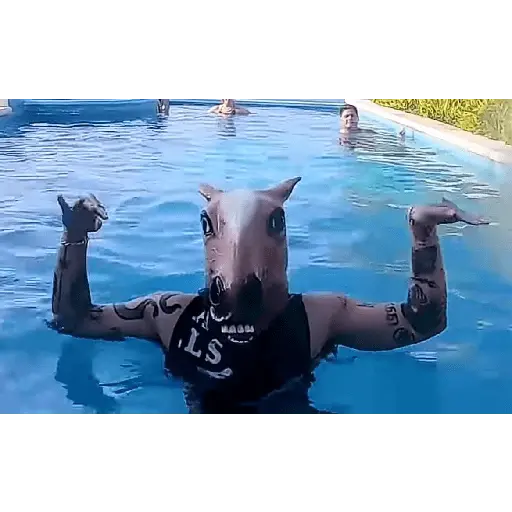 jd Pantoja ma