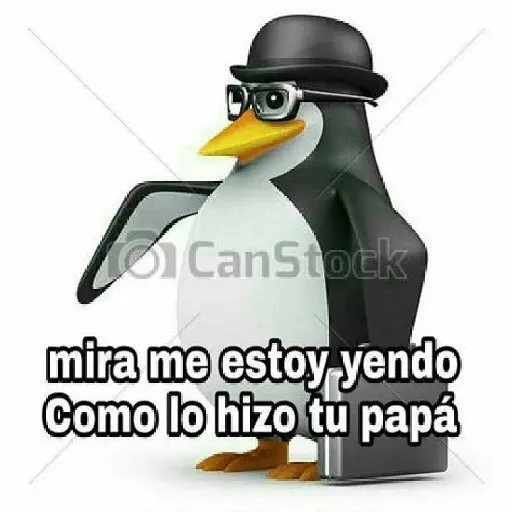 licencia 