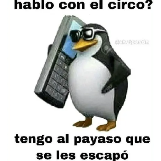 licencia 