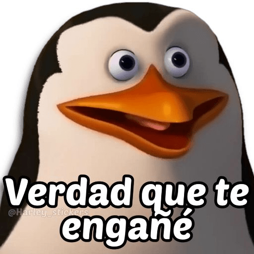 licencia  preview