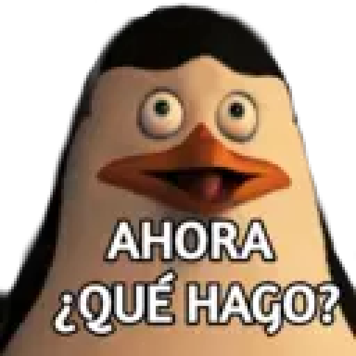 licencia  preview