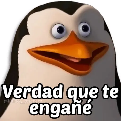 licencia 