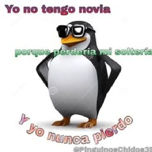 licencia 
