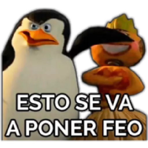 licencia  preview