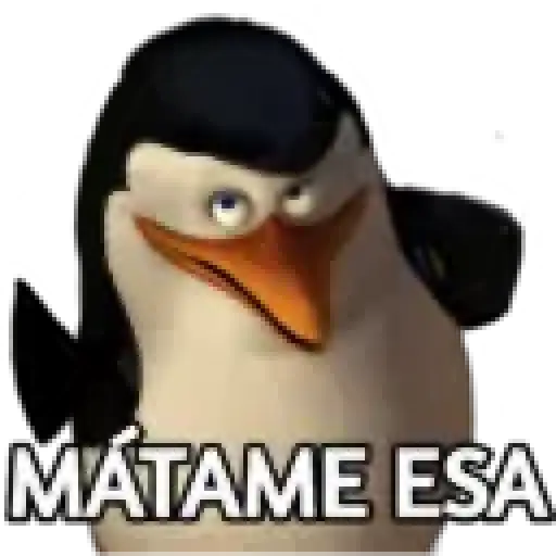 licencia 
