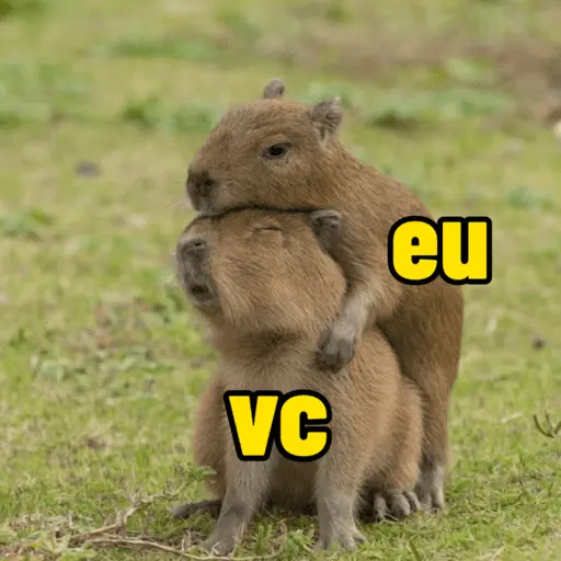 capivara | capibara 