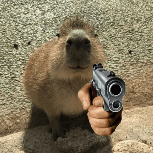 capivara | capibara 