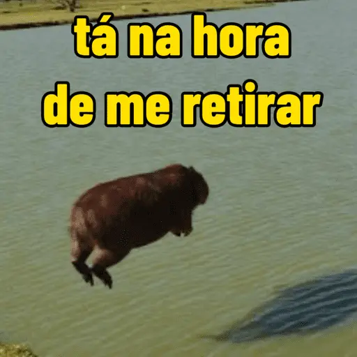 capivara | capibara 