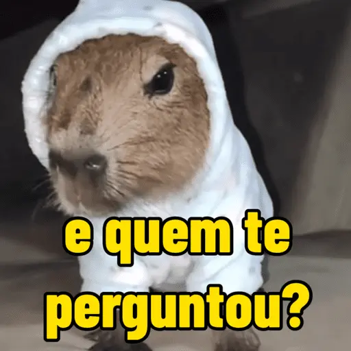 capivara | capibara 