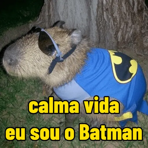 capivara | capibara 