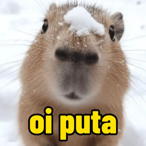 capivara | capibara 