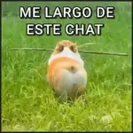 🐾⋆Perros|Dogs|Perritos🐾°