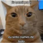 Memes gatos e cachorros