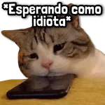 Stickers sin Filtro #➊➎ 📕