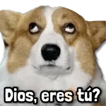 Stickers sin Filtro #➊➎ 📕