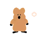 和 QUOKKA & BOBO 一起過夏天
