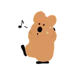 和 QUOKKA & BOBO 一起過夏天