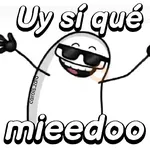 Flork divertido animado 🧦🕶️