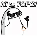 Flork divertido animado 🧦🕶️