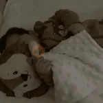 Bebés a mimir