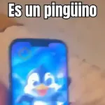 Niña MotoPingüino 🐧🛵 TikTok