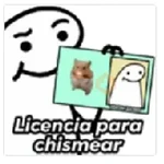 flork 💙💙 licencias 