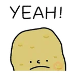 notamused daily