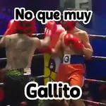 🎮 Westcol 🥊