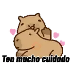 Capibara 🌟🤎