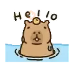 Capibara 🌟🤎