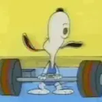 Memes De GYM 🏋️