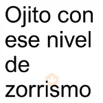 📗⛳ FRASES [Brat] 6 ⛳📗