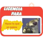 Licencia 📝💥