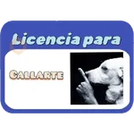 Licencia 📝💥