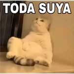 🔥𑄝GATOS HORNY/HORNY CATS𑄝🔥