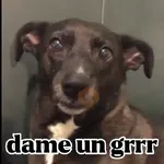 Dame un Grrr 🔥😁