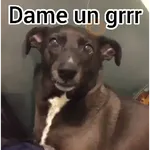 Dame un Grrr 🔥😁